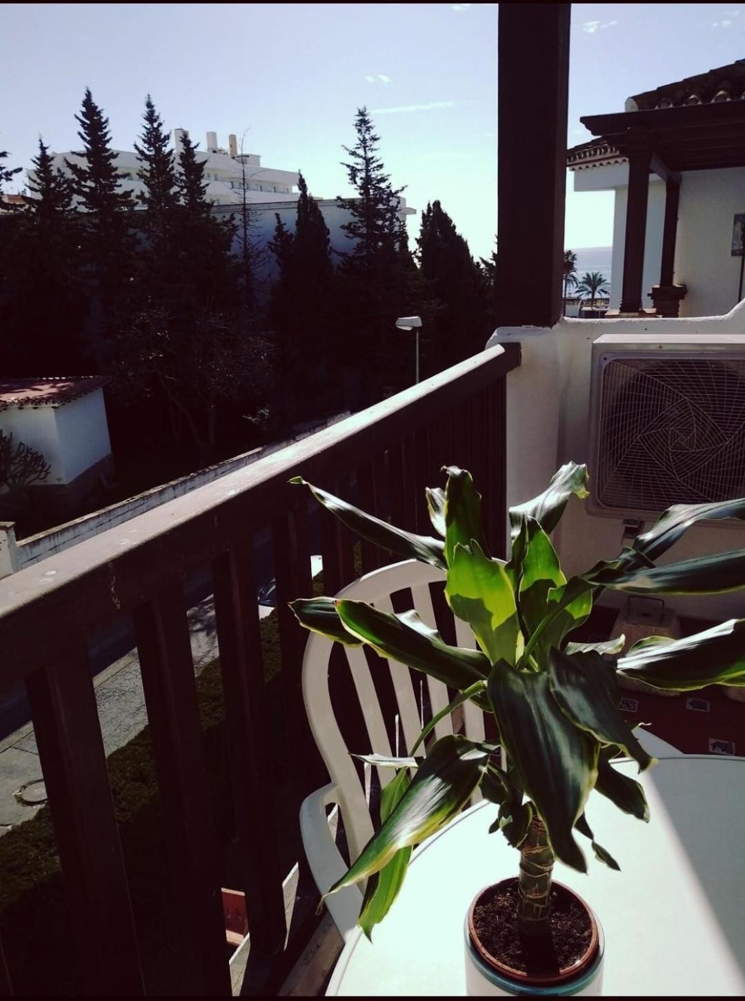 Appartement Pueblo Quinta *